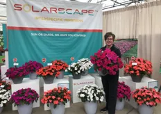 Lisa Lacy of PanAmerican Seed featuring Solarscape™ Interspecific Impatiens 